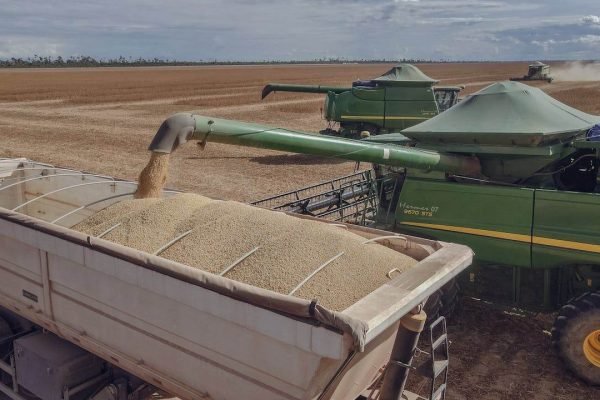 Kwanza Agro Activities (9)